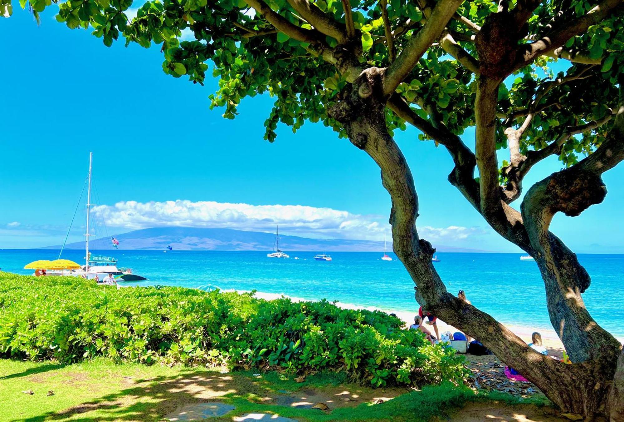 Kaanapali'S Royal Luxury Plantation Beach & Golf Estate Eksteriør billede